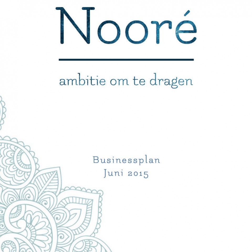 Noore-businessplan Peace and Pixels